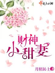 财神妻免费