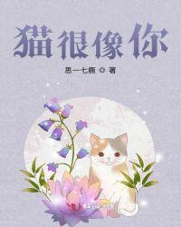 我感觉猫很像人