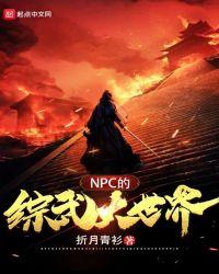 NPC的综武大世界 折月青衫