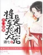 将军的农门妻