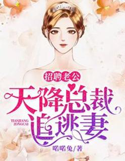 美女总裁招聘老公的