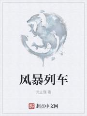 风暴列车主题曲叫什么