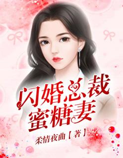 闪婚总裁蜜糖妻免费阅读无弹窗无广告