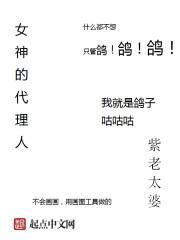 女神代理价格表