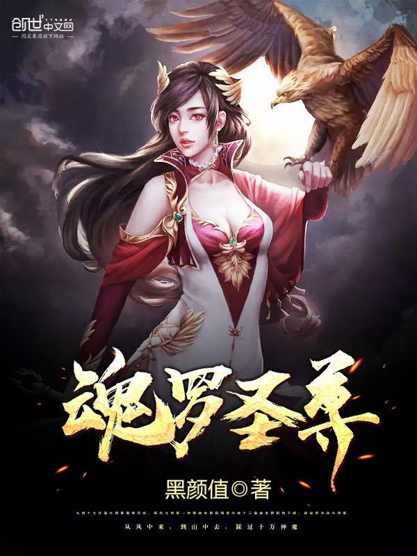 魂师魂尊魂圣