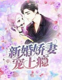 新婚娇妻宠上瘾全文