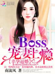 幸孕婚宠隐婚boss追逃妻免费阅读