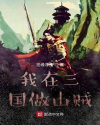 三国最强山贼系统