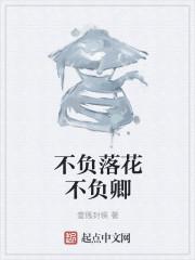 不负卿是什么意思