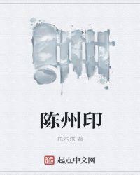 陈州印象是什么意思