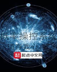 概率操控系统 道存我心