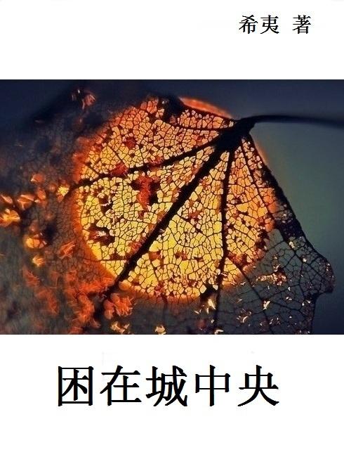 困在城中央结局