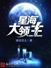 星海领主是什么段位