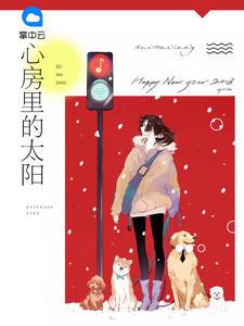 心房里的太阳gi