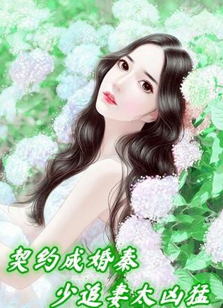 契约婚姻秦子雷