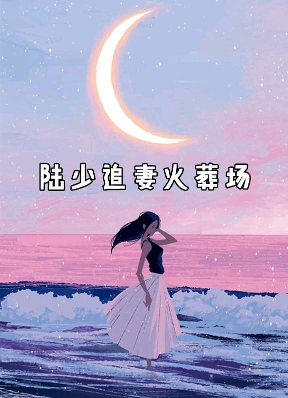 陆少追妻火葬场番外