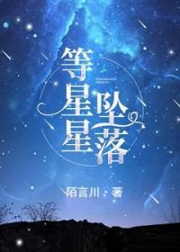 等星星坠落第25章