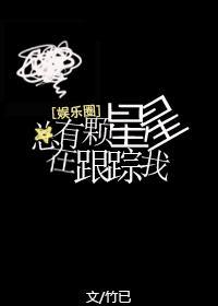 总有颗星星在跟踪我TXT