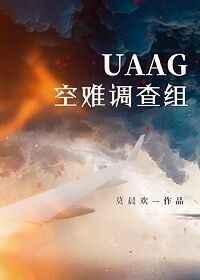 uaag空难调查组书评