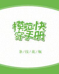 模范快穿手册 条纹花瓶 txt