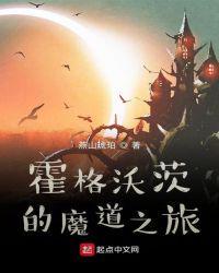 霍格沃茨的魔道之旅顶点