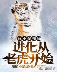 我不是橘猫!进化从老虎开始起点