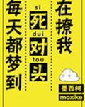 每天都梦到死对头在撩我全文免费阅读