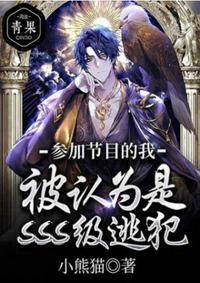 被认为是sss级逃犯类似