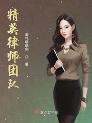 律师团队是什么意思