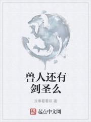 兽人剑师护手