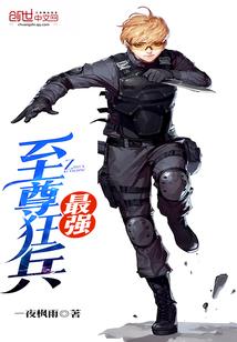 至尊狂兵叶青