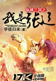 纵横三国之我是高顺