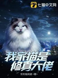 我家猫是修真大佬合集