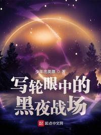 写轮眼中的黑夜战场123