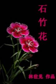 石竹花花语是什么