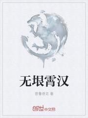 无垠霄汉典故