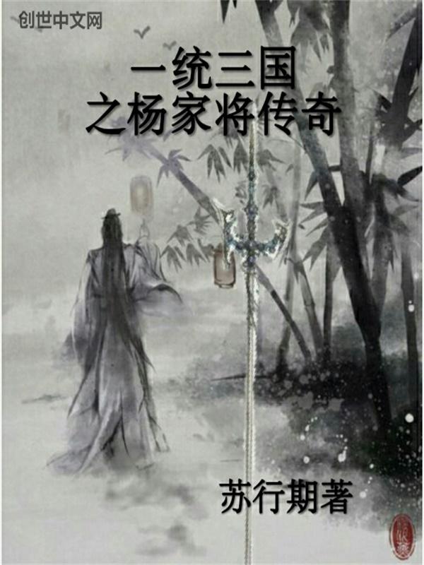 杨家将一子归