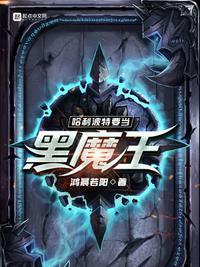 哈利波特当黑魔王