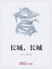 长城长城炫丽