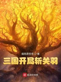 三国开局袁家暴君斩关羽