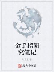 终极笔记金手指