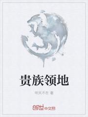 贵族领地的首都叫什么