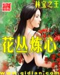 花丛炼心完整版林宝之王