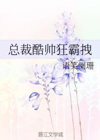 总裁酷帅狂霸拽28章