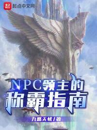 npc领主的称霸指南免费阅读