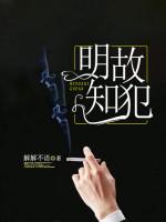 明知故犯无删减完整版