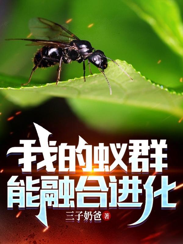 蚁群无限食物版汉化