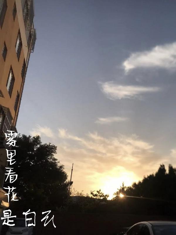 雾里看花水中望月是什么意思