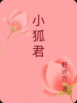 小狐君的将军老公