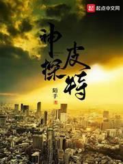 美国电影神探亨特